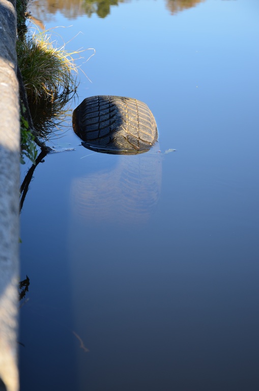 2016-12 France/Dinan/DSC_0152.JPG